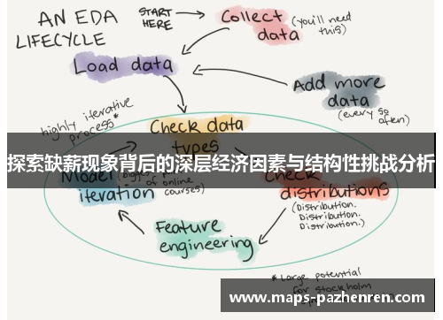 探索缺薪现象背后的深层经济因素与结构性挑战分析