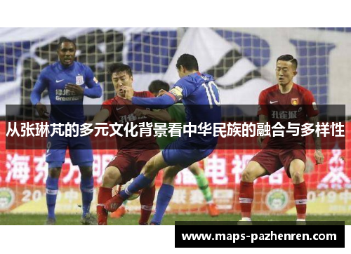 从张琳芃的多元文化背景看中华民族的融合与多样性