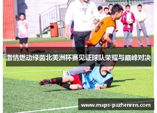 激情燃动绿茵北美洲杯赛见证球队荣耀与巅峰对决